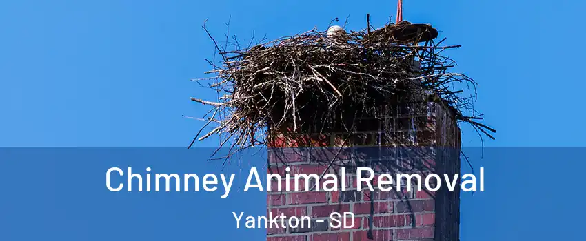  Chimney Animal Removal Yankton - SD