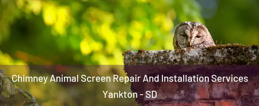  Chimney Animal Screen Repair And Installation Services Yankton - SD
