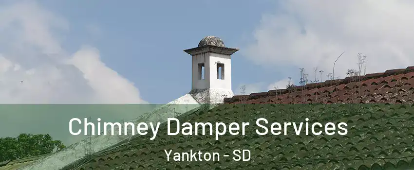  Chimney Damper Services Yankton - SD