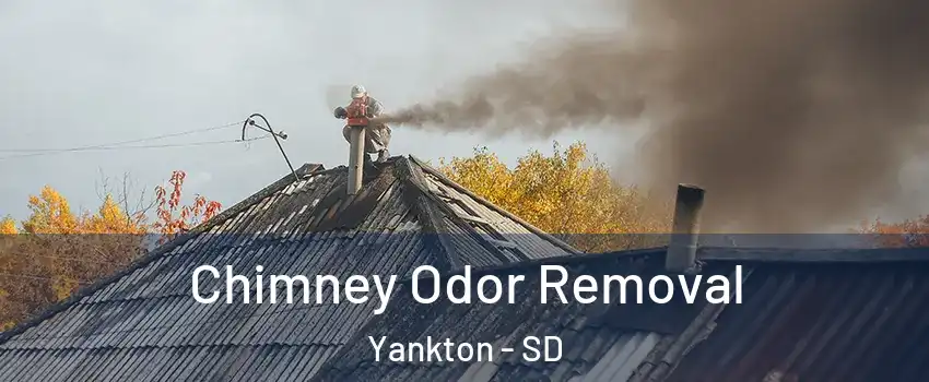  Chimney Odor Removal Yankton - SD