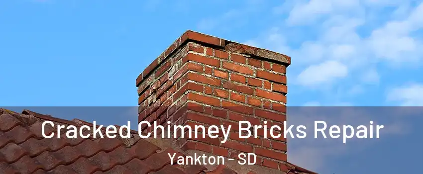  Cracked Chimney Bricks Repair Yankton - SD