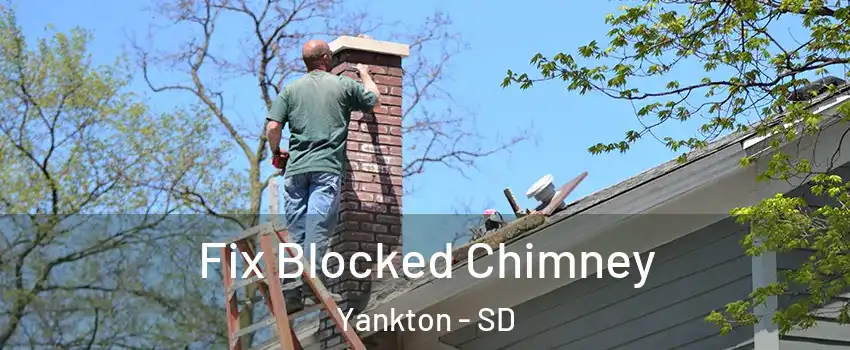  Fix Blocked Chimney Yankton - SD