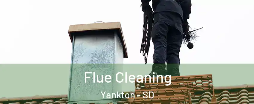  Flue Cleaning Yankton - SD