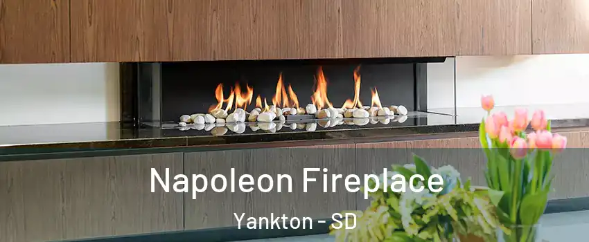  Napoleon Fireplace Yankton - SD